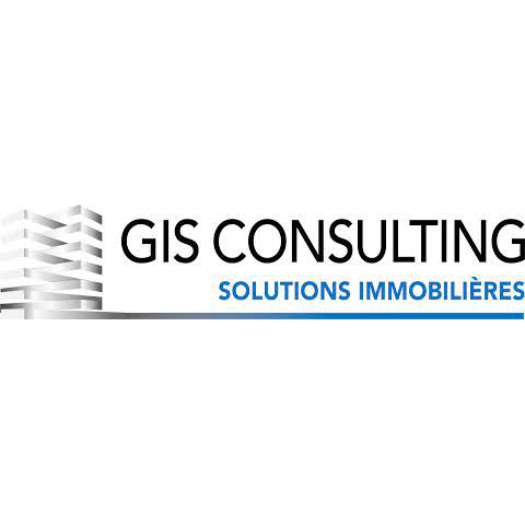Logo GIS-consulting